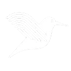 halcyon-bird-logo